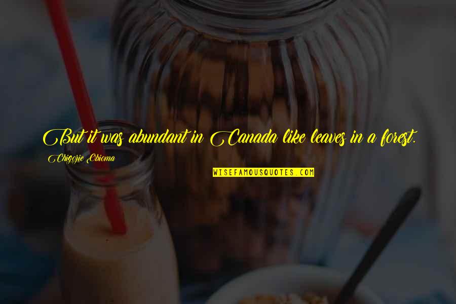 Keillors Teddy Quotes By Chigozie Obioma: But it was abundant in Canada like leaves Keillors Teddy Quotes By Chigozie Obioma: But it was abundant in Canada like leaves