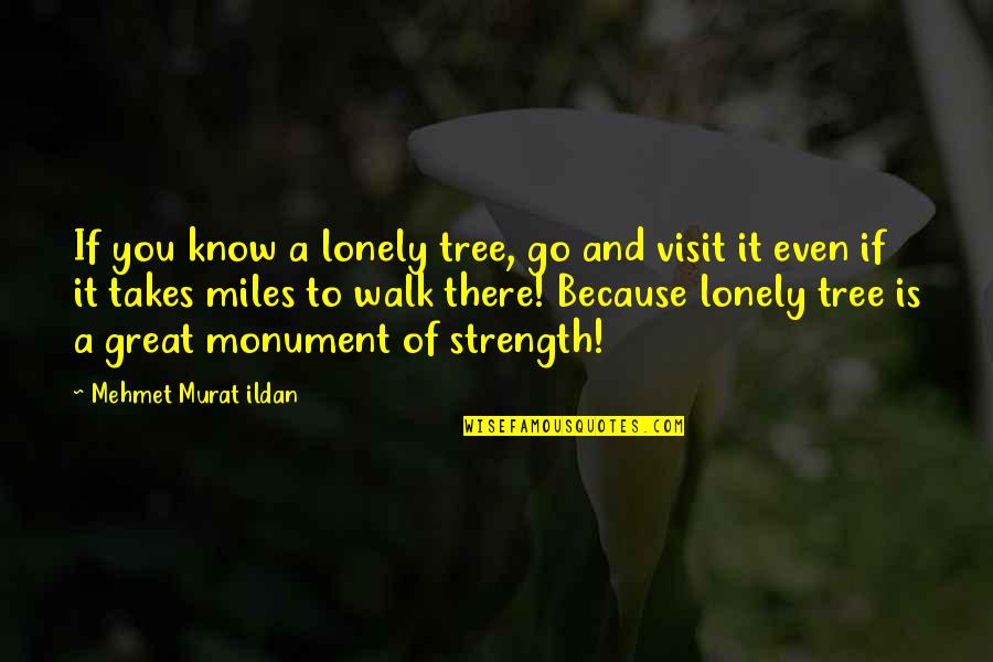 Keith Krueger Quotes By Mehmet Murat Ildan: If you know a lonely tree, go and