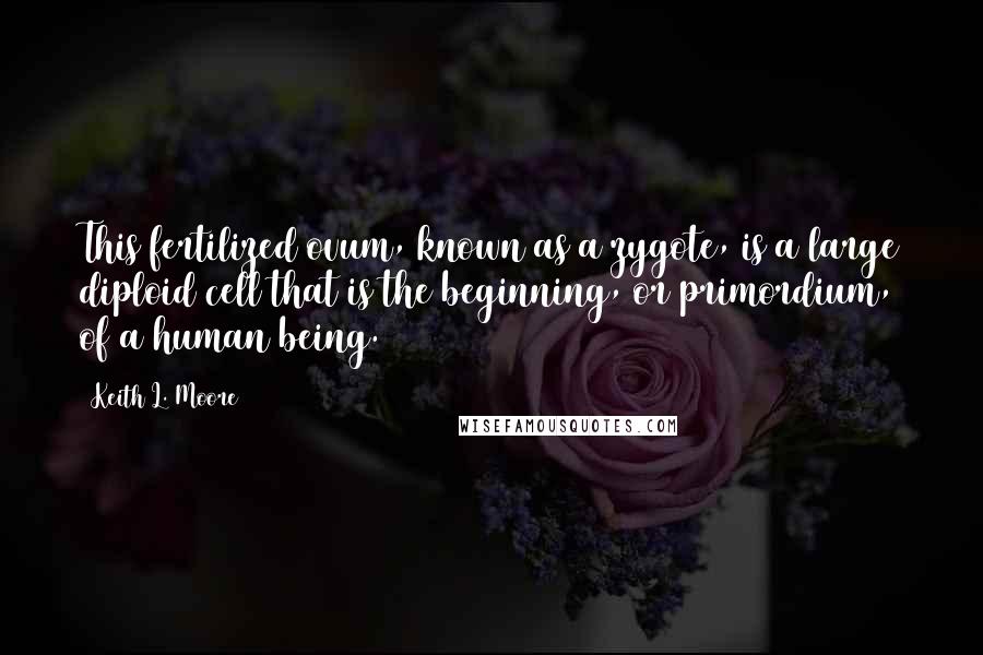 Keith L. Moore quotes: This fertilized ovum, known as a zygote, is a large diploid cell that is the beginning, or primordium, of a human being.