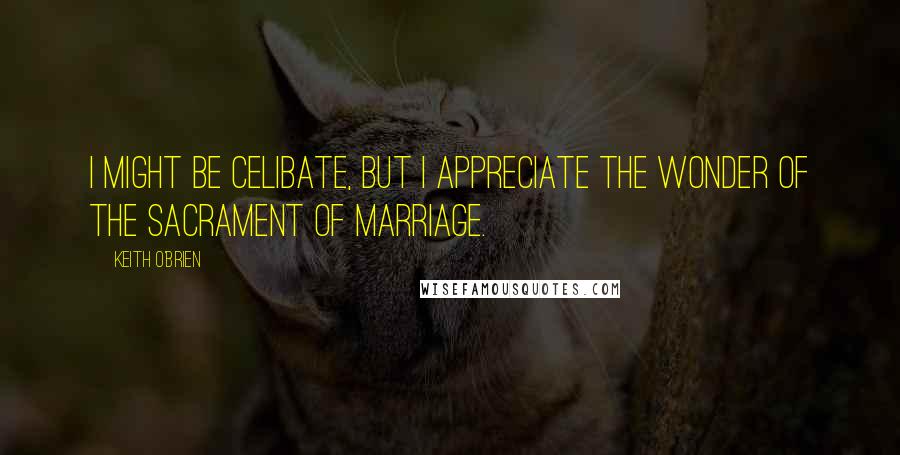 Keith O'Brien quotes: I might be celibate, but I appreciate the wonder of the sacrament of marriage.