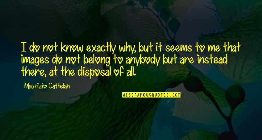 Kekaisaran Prancis Quotes By Maurizio Cattelan: I do not know exactly why, but it