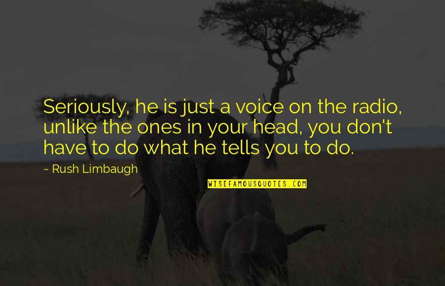 Kelakuan Santri Quotes By Rush Limbaugh: Seriously, he is just a voice on the Kelakuan Santri Quotes By Rush Limbaugh: Seriously, he is just a voice on the