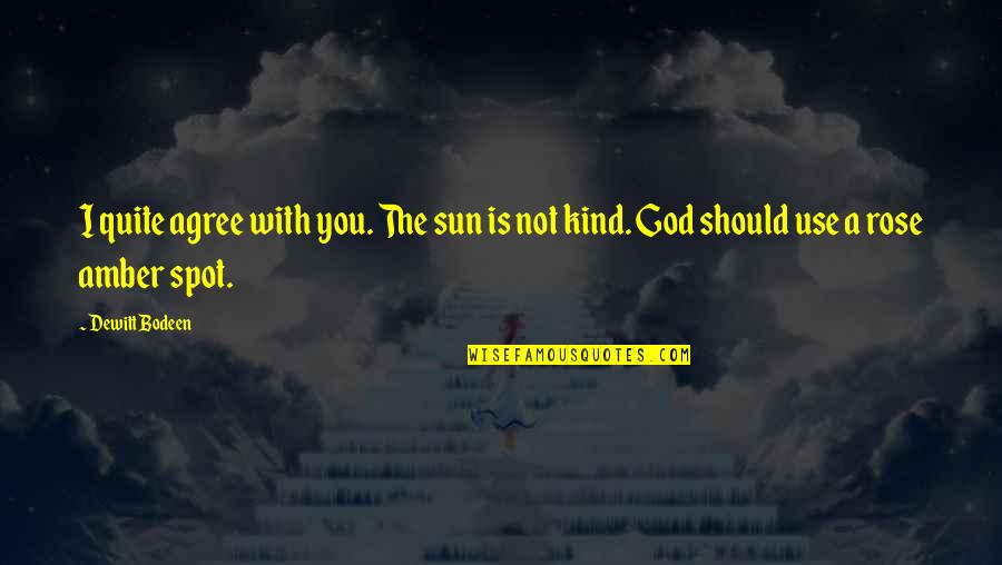 Kelambu Lipat Quotes By Dewitt Bodeen: I quite agree with you. The sun is