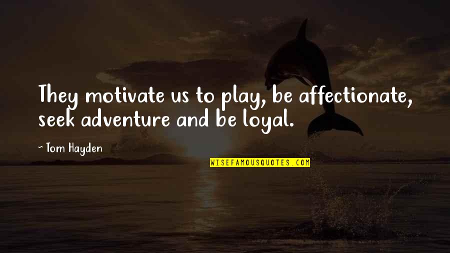 Kellene Shelties Quotes By Tom Hayden: They motivate us to play, be affectionate, seek