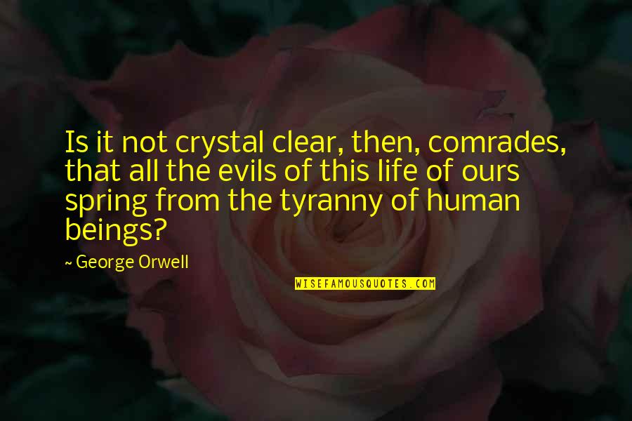 Kelloffs Best Quotes By George Orwell: Is it not crystal clear, then, comrades, that