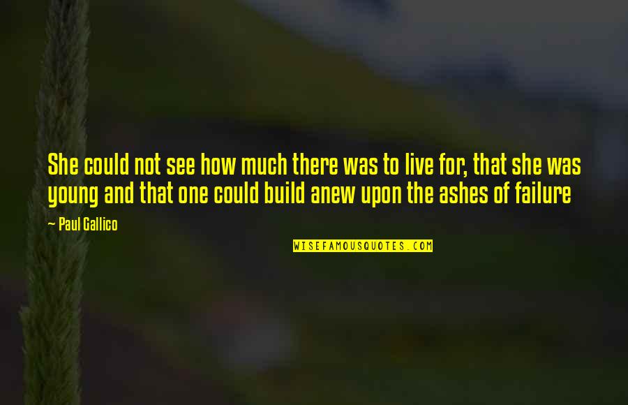 Kellow Chesneys The Victorian Quotes By Paul Gallico: She could not see how much there was