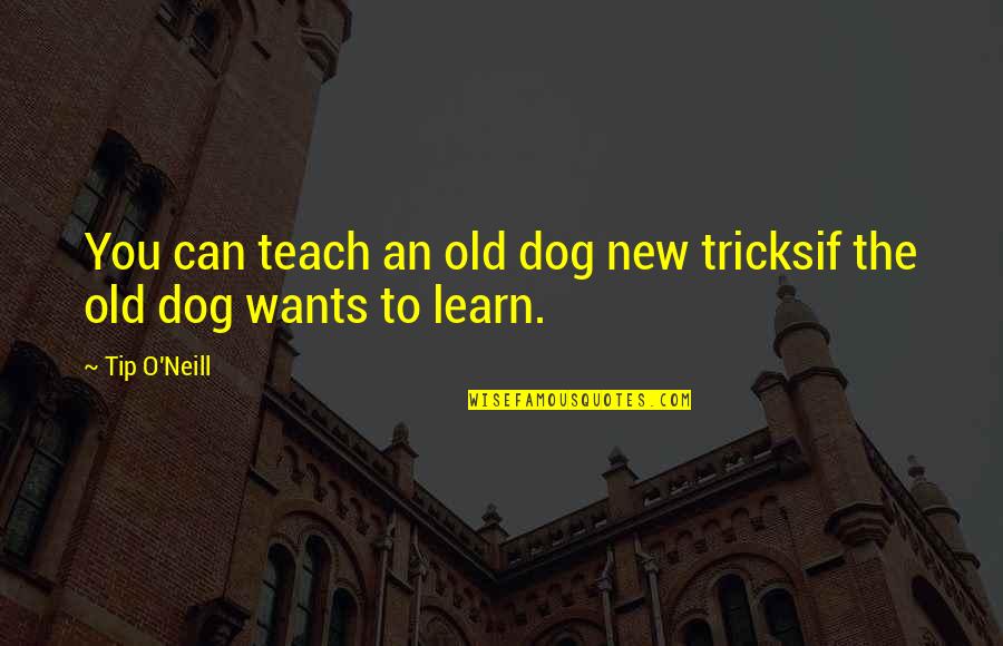 Kellow Chesneys The Victorian Quotes By Tip O'Neill: You can teach an old dog new tricksif