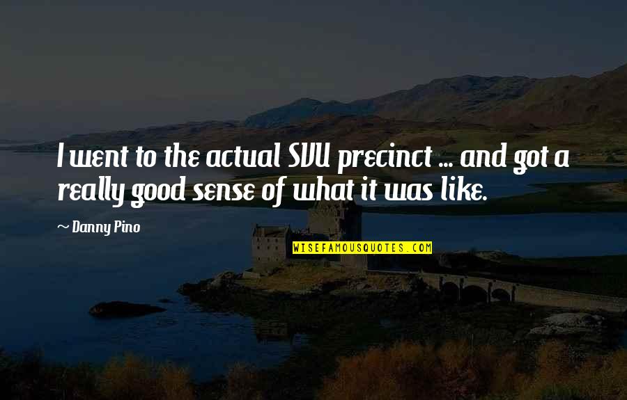 Kellow Park Quotes By Danny Pino: I went to the actual SVU precinct ...