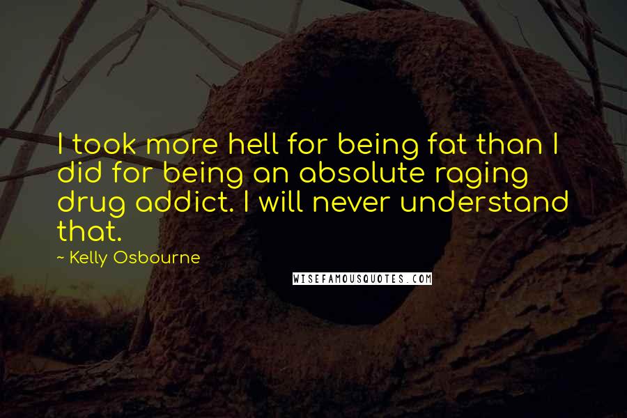 Kelly Osbourne quotes: I took more hell for being fat than I did for being an absolute raging drug addict. I will never understand that.
