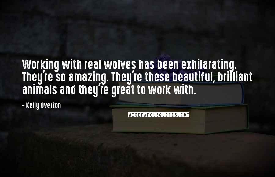 Kelly Overton quotes: Working with real wolves has been exhilarating. They're so amazing. They're these beautiful, brilliant animals and they're great to work with.
