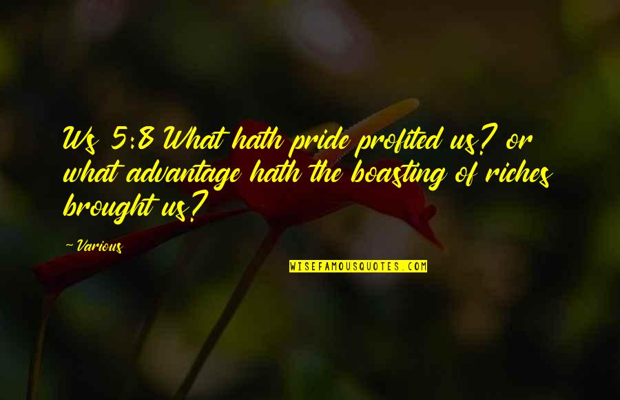 Kemal Dervis Quotes By Various: Ws 5:8 What hath pride profited us? or