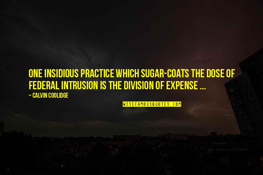 Kempff Brahms Quotes By Calvin Coolidge: One insidious practice which sugar-coats the dose of