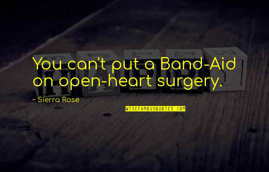 Ken Dodd Quotes By Sierra Rose: You can't put a Band-Aid on open-heart surgery.