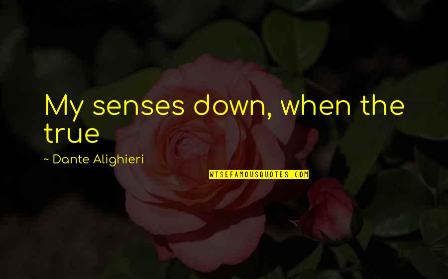 Ken Masters Win Quotes By Dante Alighieri: My senses down, when the true