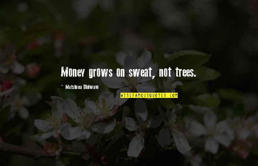 Ken Shimura Quotes By Matshona Dhliwayo: Money grows on sweat, not trees. Ken Shimura Quotes By Matshona Dhliwayo: Money grows on sweat, not trees.