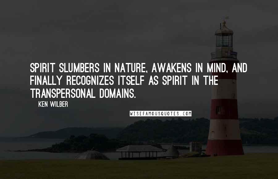 Ken Wilber quotes: Spirit slumbers in nature, awakens in mind, and finally recognizes itself as Spirit in the transpersonal domains.
