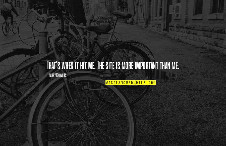 Kena Bridge Of Spirits Quotes By Harry Knowles: That's when it hit me. The site is Kena Bridge Of Spirits Quotes By Harry Knowles: That's when it hit me. The site is