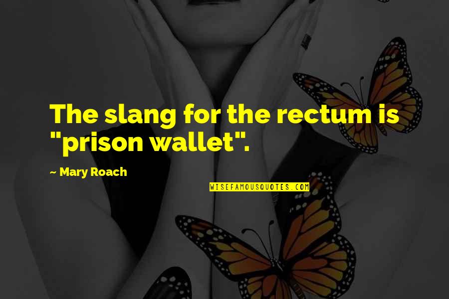 Kenani Brandon Quotes By Mary Roach: The slang for the rectum is "prison wallet".