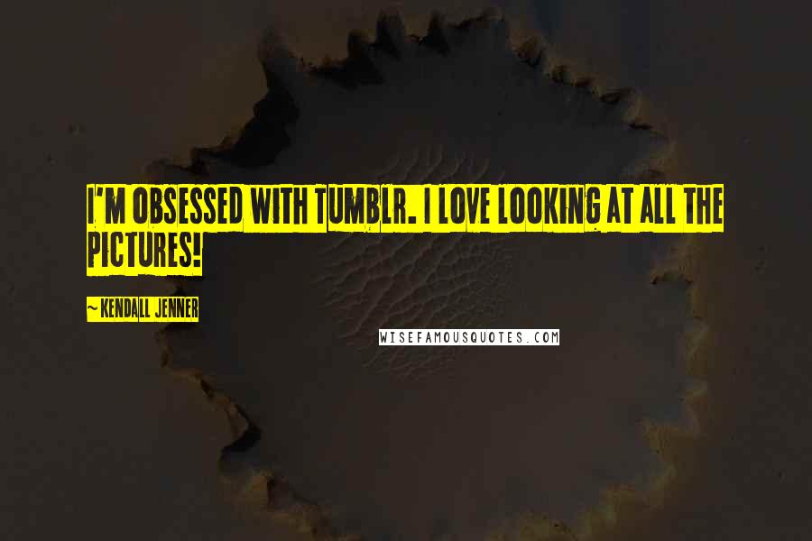 Kendall Jenner quotes: I'm obsessed with Tumblr. I love looking at all the pictures!