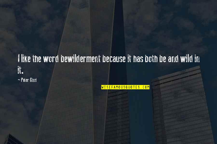 Kendirci O Quotes By Peter Gizzi: I like the word bewilderment because it has