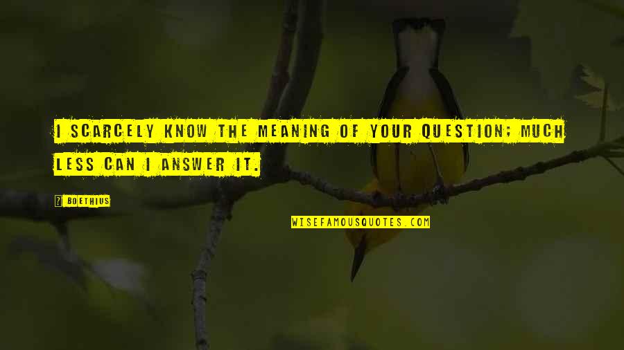 Kendisiyle Quotes By Boethius: I scarcely know the meaning of your question;