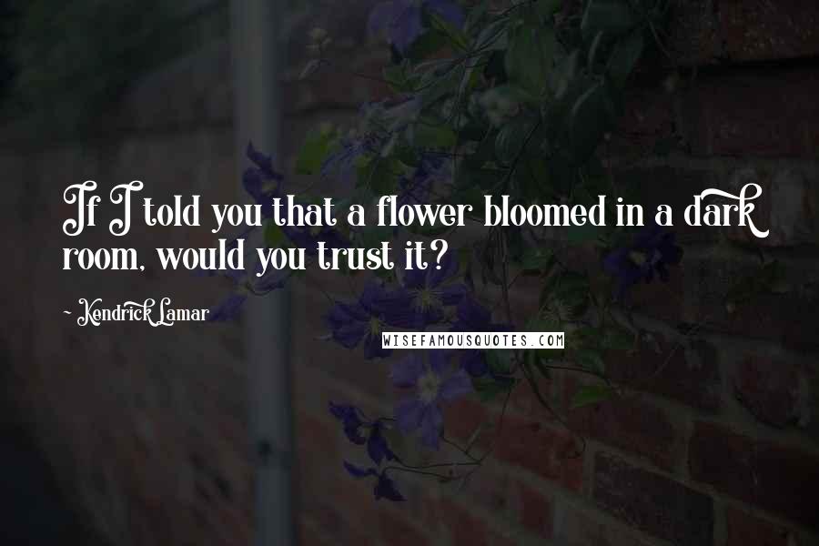 Kendrick Lamar quotes: If I told you that a flower bloomed in a dark room, would you trust it?