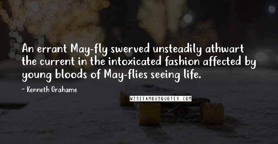 Kenneth Grahame quotes: An errant May-fly swerved unsteadily athwart the current in the intoxicated fashion affected by young bloods of May-flies seeing life.