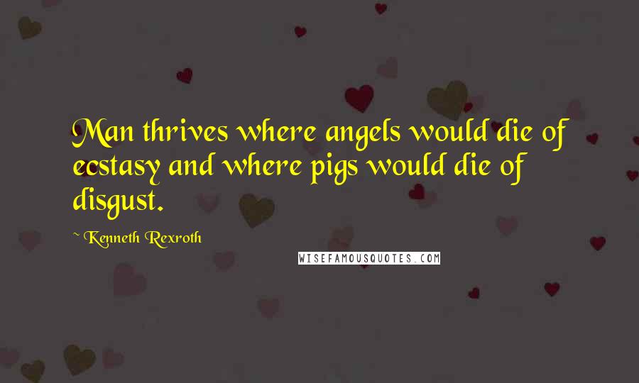 Kenneth Rexroth quotes: Man thrives where angels would die of ecstasy and where pigs would die of disgust.