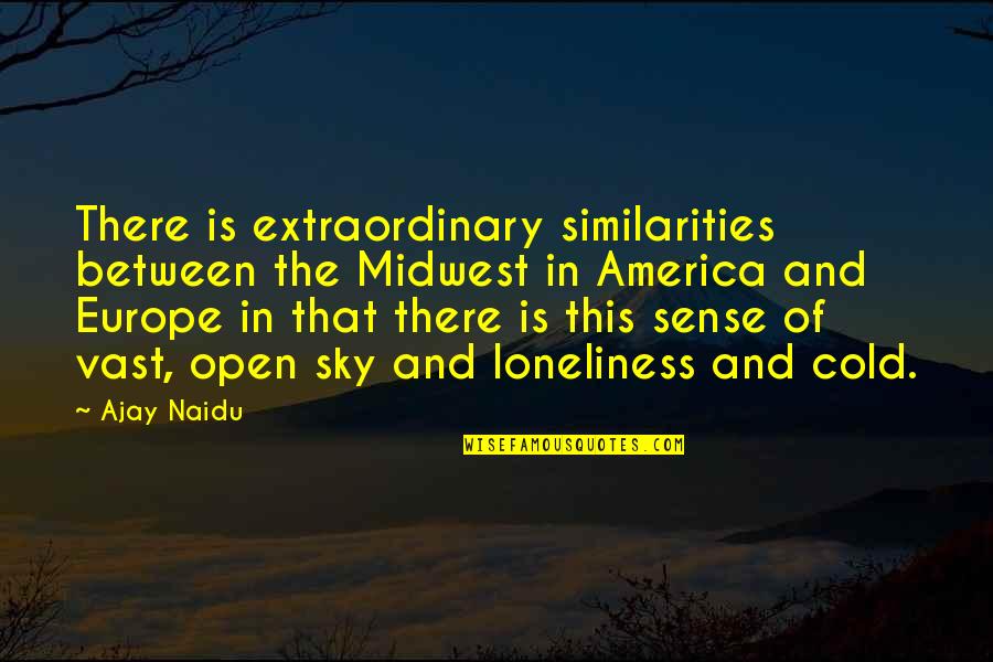 Kenneth Waltz Neorealism Quotes By Ajay Naidu: There is extraordinary similarities between the Midwest in Kenneth Waltz Neorealism Quotes By Ajay Naidu: There is extraordinary similarities between the Midwest in