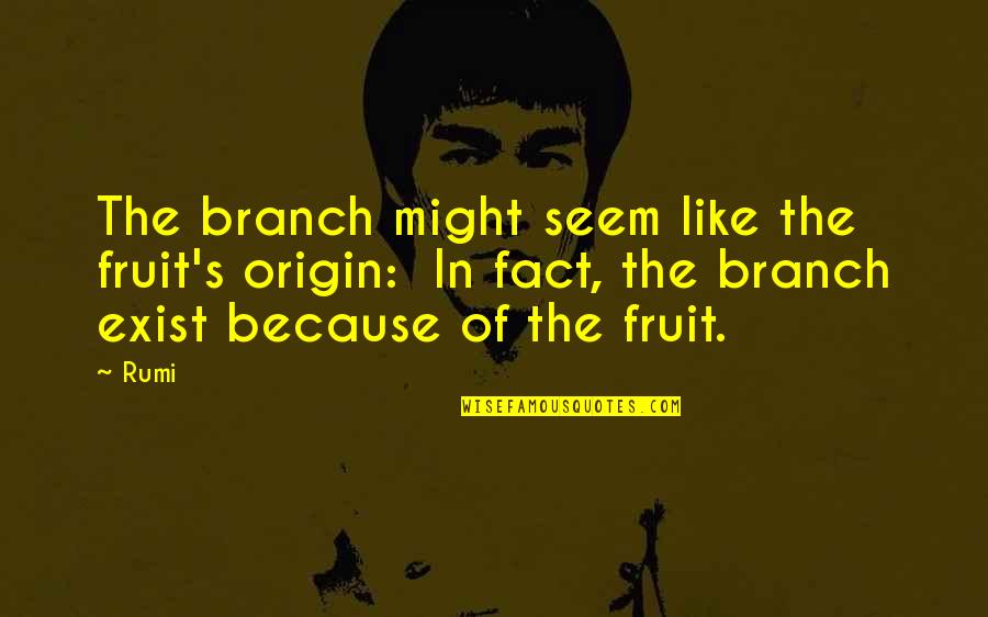 Kennishewa Quotes By Rumi: The branch might seem like the fruit's origin: Kennishewa Quotes By Rumi: The branch might seem like the fruit's origin: