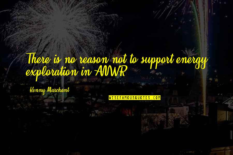Kenny Quotes By Kenny Marchant: There is no reason not to support energy Kenny Quotes By Kenny Marchant: There is no reason not to support energy