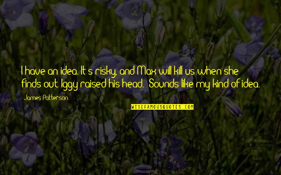 Kenosha Quotes By James Patterson: I have an idea. It's risky, and Max