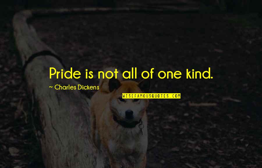 Kentenhunnell Quotes By Charles Dickens: Pride is not all of one kind.