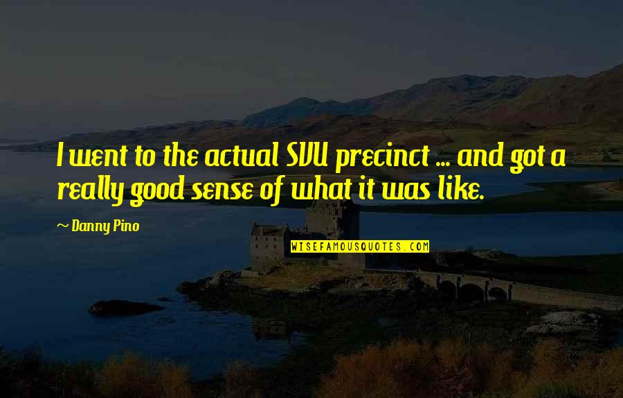 Kepolisian Ri Quotes By Danny Pino: I went to the actual SVU precinct ...