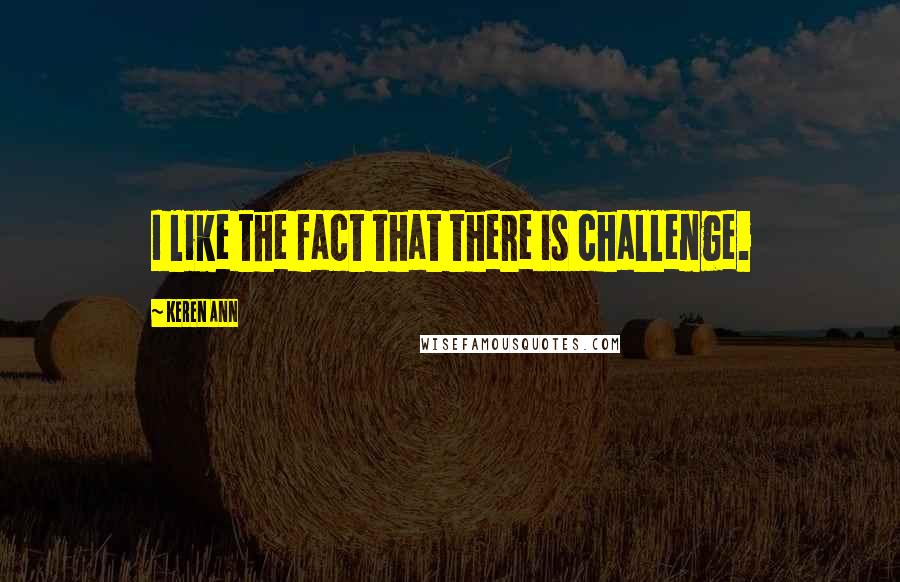 Keren Ann quotes: I like the fact that there is challenge.