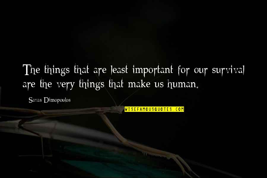 Kerenza Website Quotes By Savas Dimopoulos: The things that are least important for our