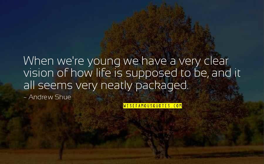 Kerkopes Quotes By Andrew Shue: When we're young we have a very clear Kerkopes Quotes By Andrew Shue: When we're young we have a very clear