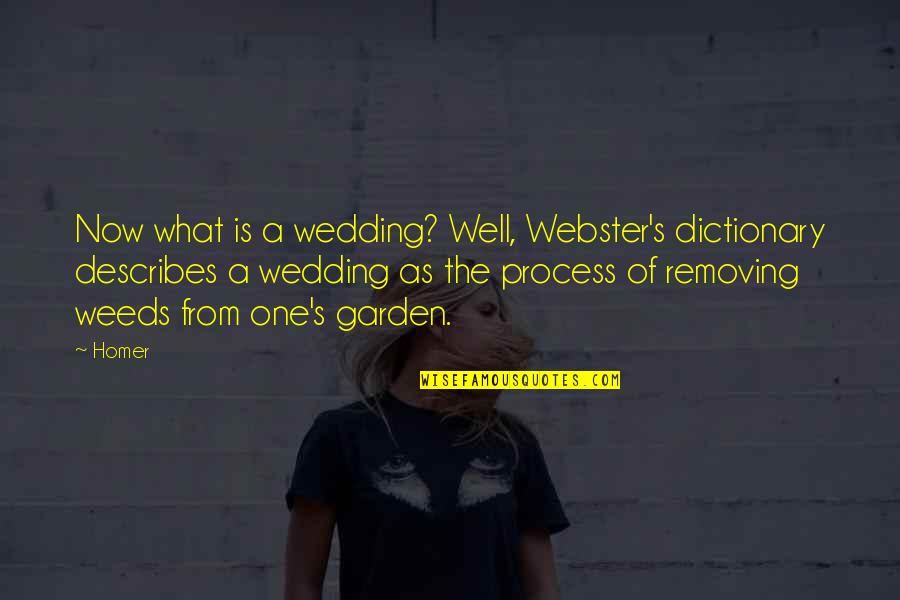 Kerlikowske Bio Quotes By Homer: Now what is a wedding? Well, Webster's dictionary Kerlikowske Bio Quotes By Homer: Now what is a wedding? Well, Webster's dictionary