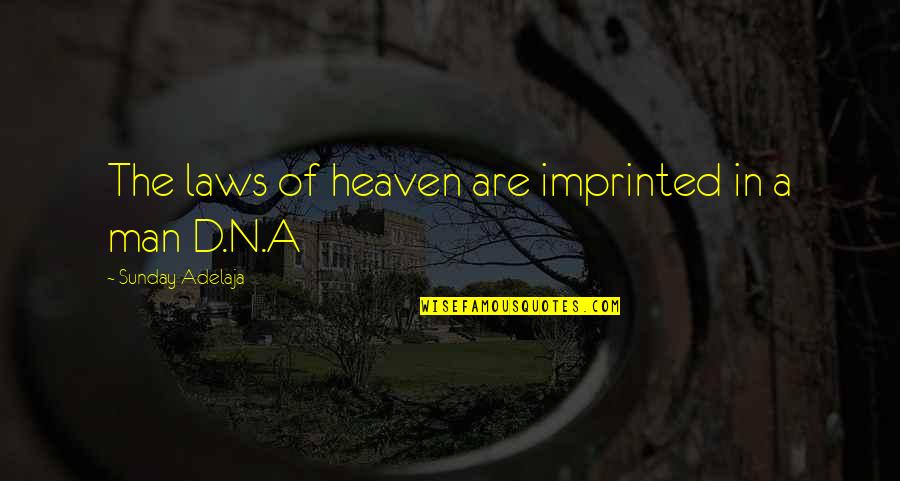 Kernaghan Great Quotes By Sunday Adelaja: The laws of heaven are imprinted in a