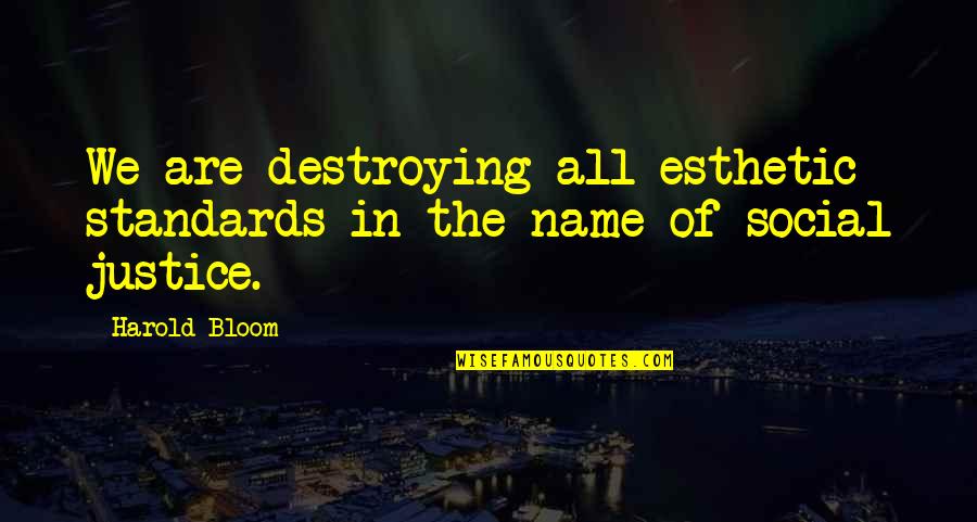 Kerouac Satori In Paris Quotes By Harold Bloom: We are destroying all esthetic standards in the