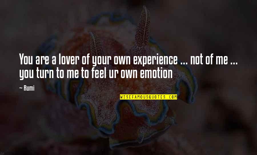 Kerouac Travel Quotes By Rumi: You are a lover of your own experience Kerouac Travel Quotes By Rumi: You are a lover of your own experience