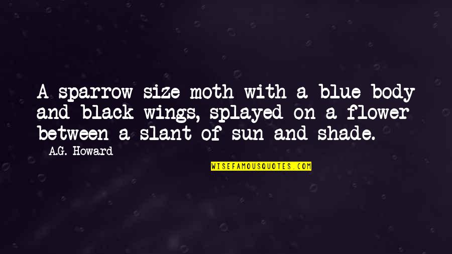 Kerrostulivuori Quotes By A.G. Howard: A sparrow-size moth with a blue body and Kerrostulivuori Quotes By A.G. Howard: A sparrow-size moth with a blue body and