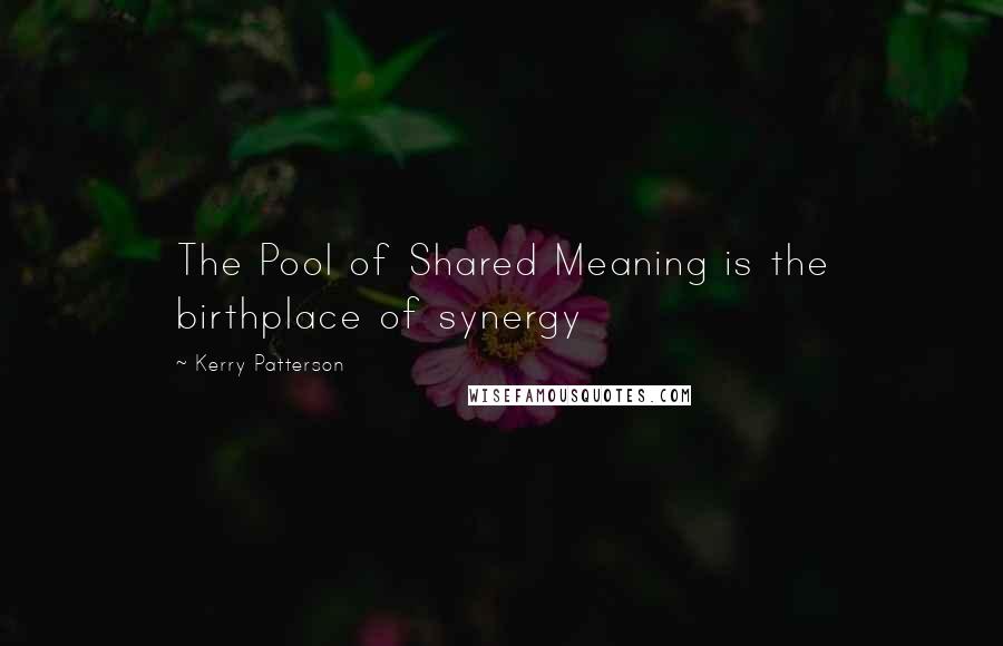 Kerry Patterson quotes: The Pool of Shared Meaning is the birthplace of synergy
