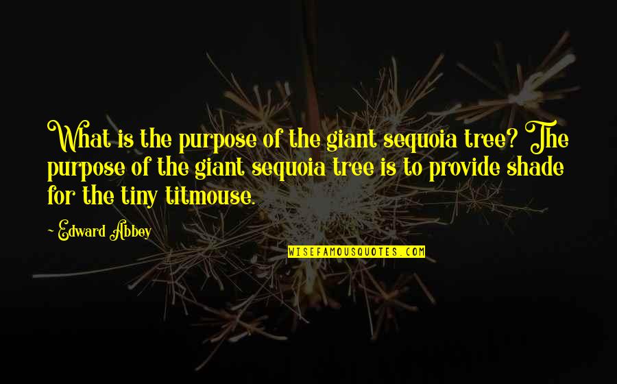 Kerstens Midwest Quotes By Edward Abbey: What is the purpose of the giant sequoia Kerstens Midwest Quotes By Edward Abbey: What is the purpose of the giant sequoia