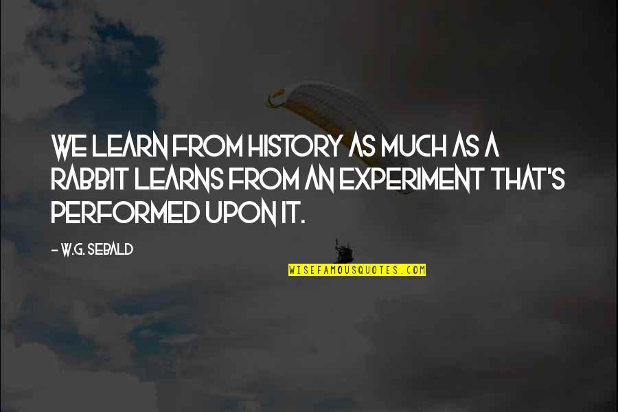 Kerusakan Lingkungan Quotes By W.G. Sebald: We learn from history as much as a Kerusakan Lingkungan Quotes By W.G. Sebald: We learn from history as much as a