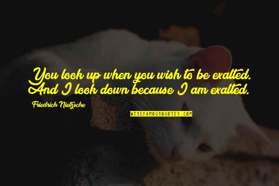 Kerusi Pejabat Quotes By Friedrich Nietzsche: You look up when you wish to be Kerusi Pejabat Quotes By Friedrich Nietzsche: You look up when you wish to be