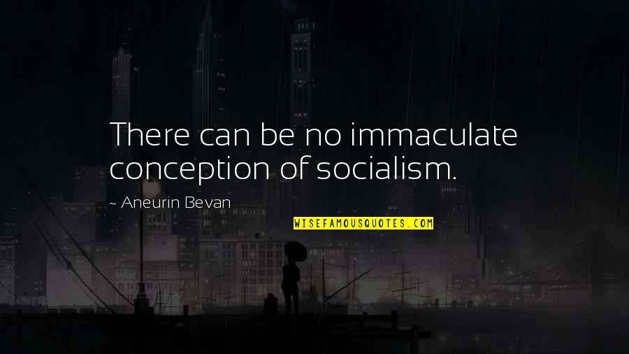 Kesedaran Bermasyarakat Quotes By Aneurin Bevan: There can be no immaculate conception of socialism.