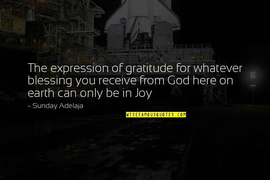 Keselowski 2 Quotes By Sunday Adelaja: The expression of gratitude for whatever blessing you Keselowski 2 Quotes By Sunday Adelaja: The expression of gratitude for whatever blessing you