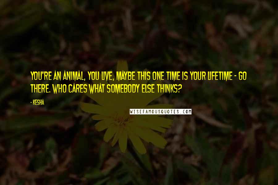 Kesha quotes: You're an animal, you live, maybe this one time is your lifetime - go there. Who cares what somebody else thinks?