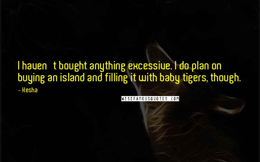 Kesha quotes: I haven't bought anything excessive. I do plan on buying an island and filling it with baby tigers, though.